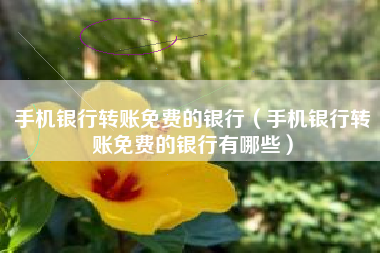 手机银行转账免费的银行（手机银行转账免费的银行有哪些）