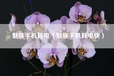魅族手机耗电（魅族手机耗电快）