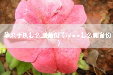 苹果手机怎么删备份（iphone怎么删备份）