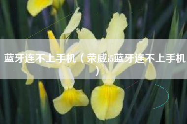 蓝牙连不上手机（荣威i5蓝牙连不上手机）