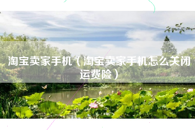 淘宝卖家手机（淘宝卖家手机怎么关闭运费险）