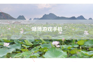 赌博游戏手机