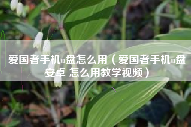 爱国者手机u盘怎么用（爱国者手机u盘安卓 怎么用教学视频）