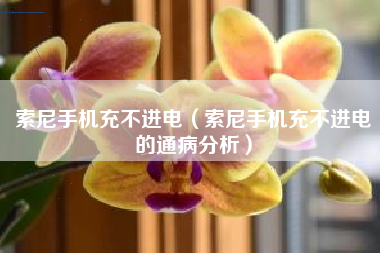 索尼手机充不进电（索尼手机充不进电的通病分析）