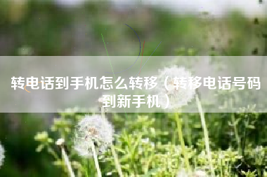 转电话到手机怎么转移（转移电话号码到新手机）