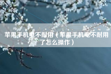 苹果手机电不耐用（苹果手机电不耐用了怎么操作）