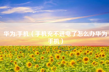 华为i手机（手机充不进电了怎么办华为手机）