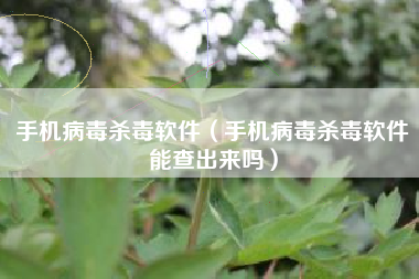 手机病毒杀毒软件（手机病毒杀毒软件能查出来吗）