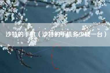 沙特的手机（沙特的手机多少钱一台）
