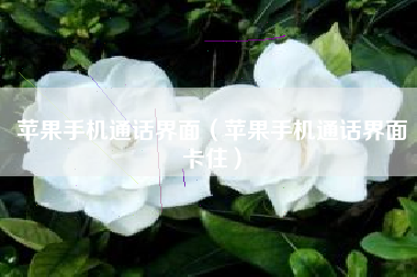 苹果手机通话界面（苹果手机通话界面卡住）