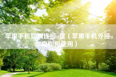 苹果手机如何连接u盘（苹果手机外接u盘如何使用）