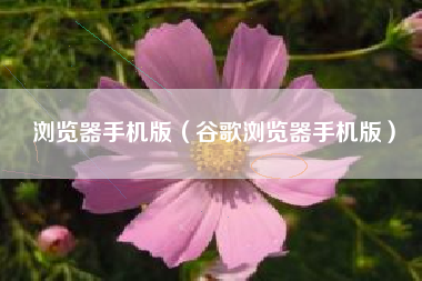 浏览器手机版（谷歌浏览器手机版）