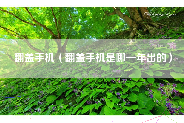 翻盖手机（翻盖手机是哪一年出的）