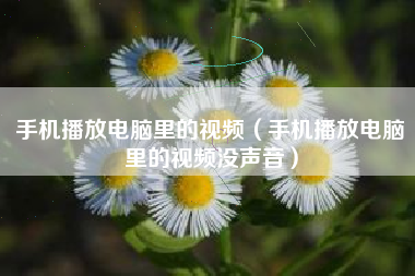 手机播放电脑里的视频（手机播放电脑里的视频没声音）