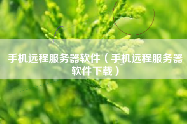 手机远程服务器软件（手机远程服务器软件下载）