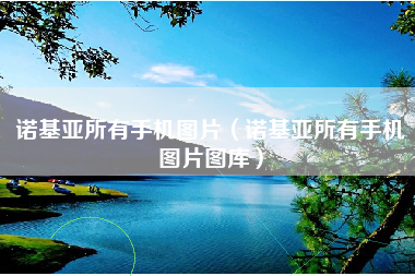 诺基亚所有手机图片（诺基亚所有手机图片图库）