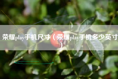 荣耀play手机尺寸（荣耀play手机多少英寸）