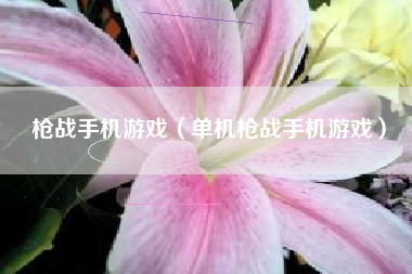 枪战手机游戏（单机枪战手机游戏）