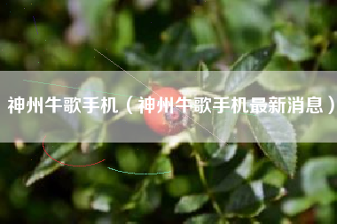 神州牛歌手机（神州牛歌手机最新消息）
