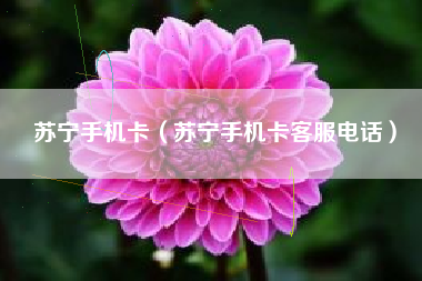苏宁手机卡（苏宁手机卡客服电话）