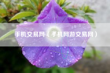 手机交易网（手机网游交易网）