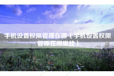 手机设置权限管理在哪（手机设置权限管理在哪里找）