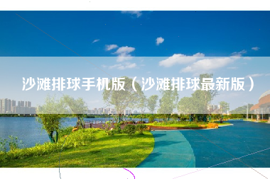 沙滩排球手机版（沙滩排球最新版）