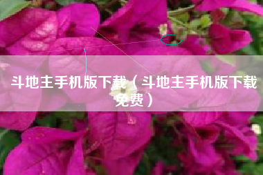 斗地主手机版下载（斗地主手机版下载免费）