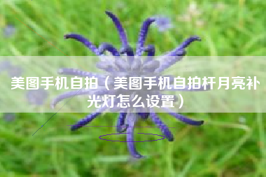 美图手机自拍（美图手机自拍杆月亮补光灯怎么设置）