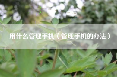 用什么管理手机（管理手机的办法）