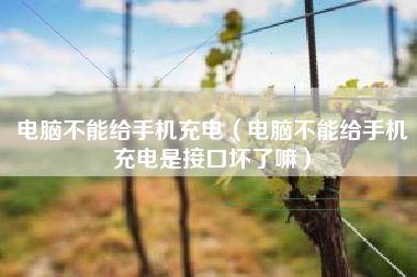 电脑不能给手机充电（电脑不能给手机充电是接口坏了嘛）