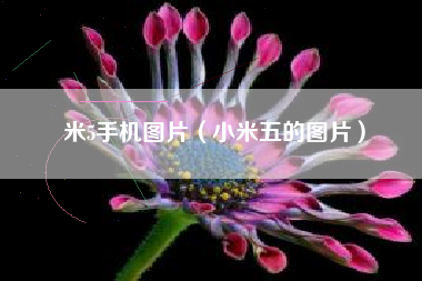 米5手机图片（小米五的图片）
