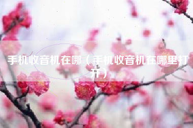 手机收音机在哪（手机收音机在哪里打开）