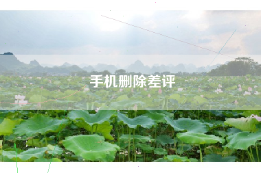 手机删除差评