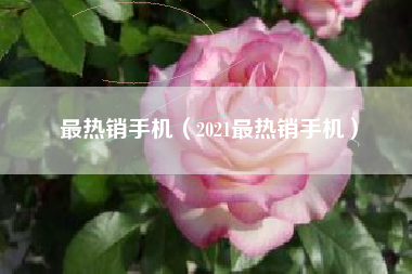 最热销手机（2021最热销手机）