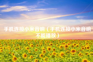 手机连接小米音响（手机连接小米音响不能播放）