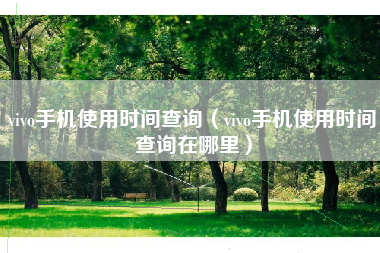 vivo手机使用时间查询（vivo手机使用时间查询在哪里）