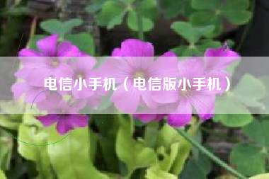 电信小手机（电信版小手机）