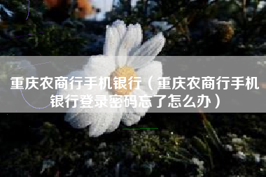 重庆农商行手机银行（重庆农商行手机银行登录密码忘了怎么办）