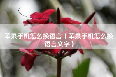 苹果手机怎么换语言（苹果手机怎么换语言文字）