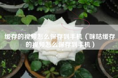 缓存的视频怎么保存到手机（咪咕缓存的视频怎么保存到手机）