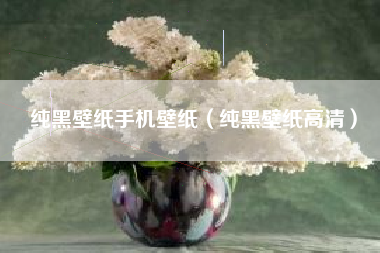 纯黑壁纸手机壁纸（纯黑壁纸高清）