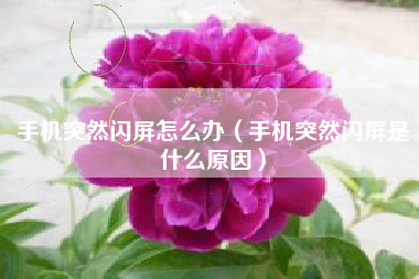 手机突然闪屏怎么办（手机突然闪屏是什么原因）