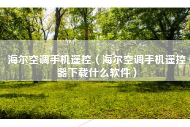 海尔空调手机遥控（海尔空调手机遥控器下载什么软件）