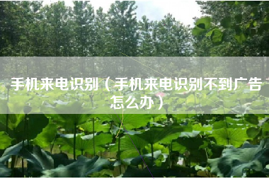 手机来电识别（手机来电识别不到广告怎么办）