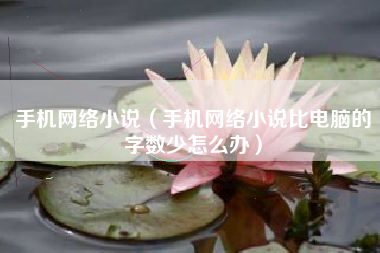 手机网络小说（手机网络小说比电脑的字数少怎么办）