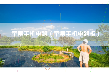 苹果手机电路（苹果手机电路板）