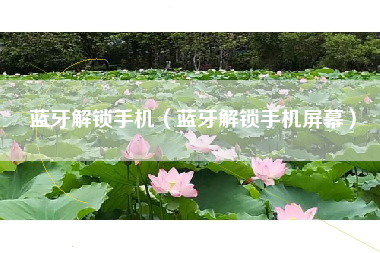 蓝牙解锁手机（蓝牙解锁手机屏幕）