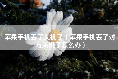 苹果手机丢了关机了（苹果手机丢了对方关机了怎么办）