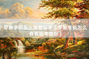 苹果手机怎么查看版本（苹果手机怎么查看版本地区）
